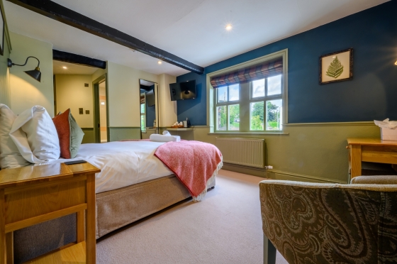 Dog Friendly Rooms